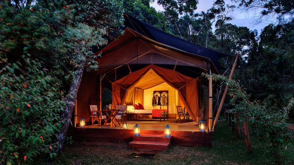 elephant-pepper-camp-luxury-tent-4D75D9562-CF0F-44DE-E2F8-92A7D107CF69.jpg