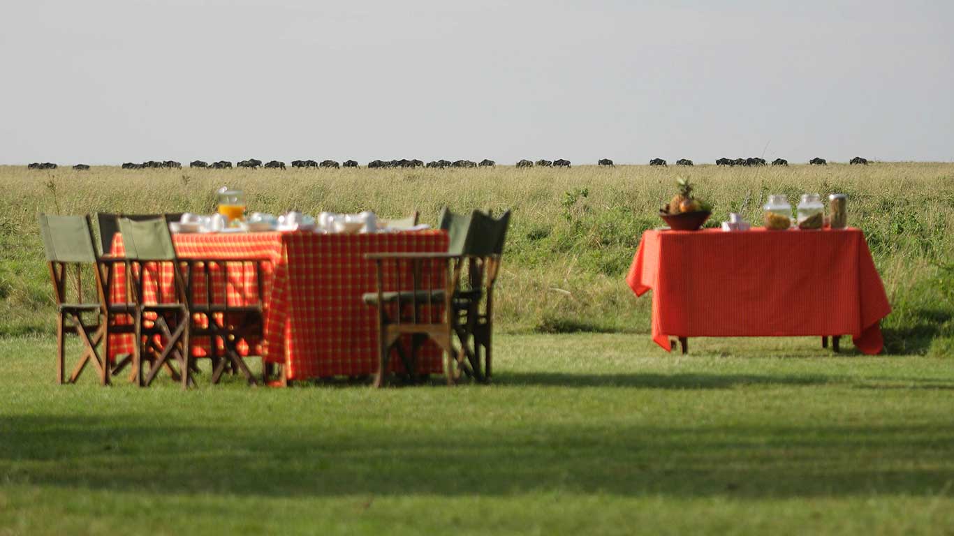 Elephant Pepper Camp Breakfast at Camp with Wildebeest