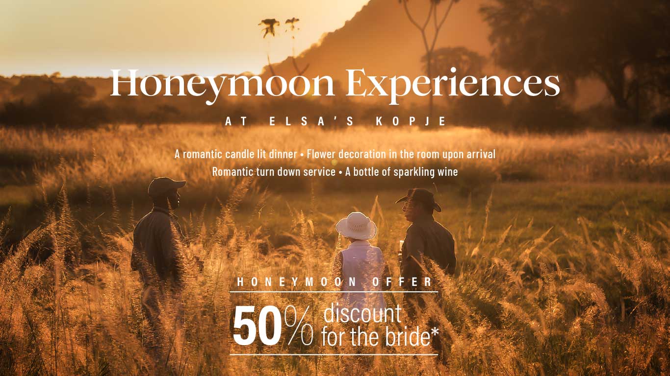 2026 Honeymoons at EKM Banner