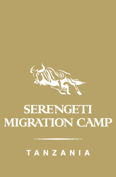 Serengeti Migration Camp