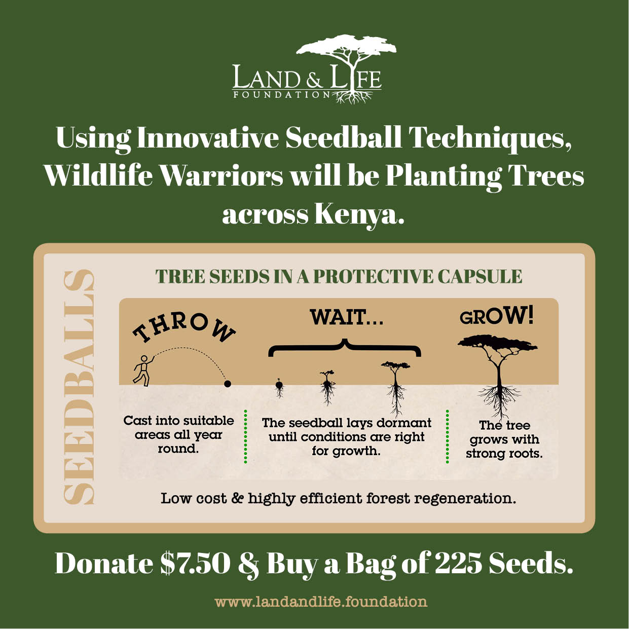 SeedBall for Warriors Earth Day