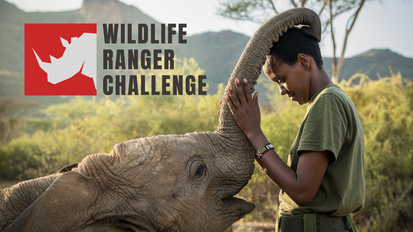 wildlife ranger challenge