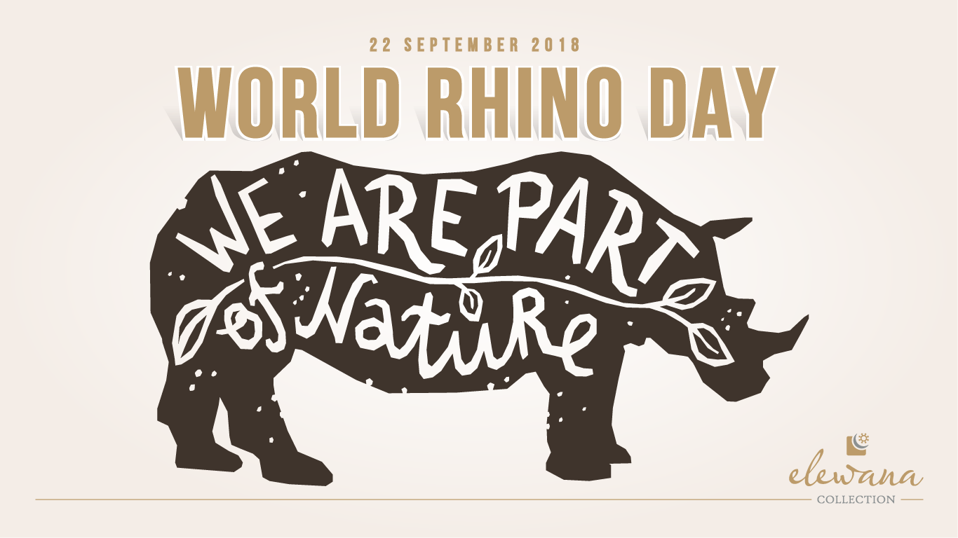 world-rhino-day-web